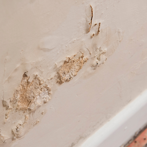 Can You Paint On Damp Plaster